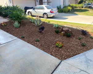 Waterwise Landscaping Installation