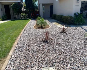 Waterwise Landscaping Installation